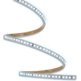 ORO33463 ORO STRIP SMD 12V⁄1500LM⁄CW 5M IP65 pac un_1-min.jpg