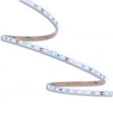 ORO33448 ORO STRIP SMD 12V⁄500LM⁄CW 5M pac un_1-min.jpg